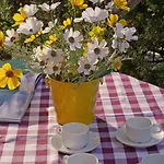 In Centro A Torri Del Benaco