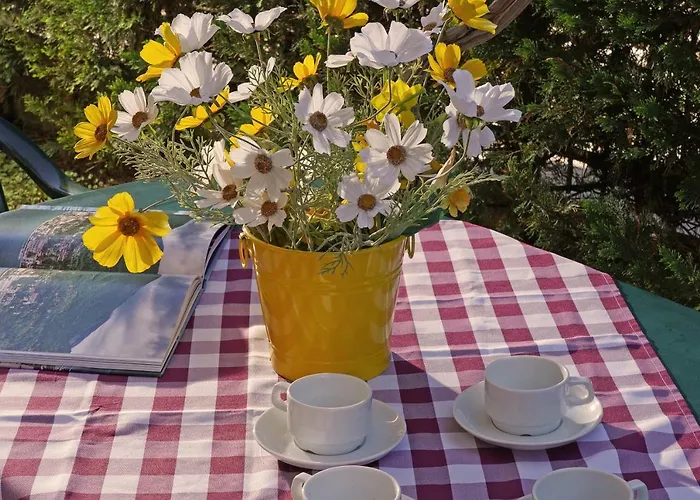 In Centro A Torri Del Benaco